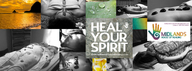 Massage Therapy Colleen  Van Heerden