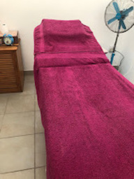 Massage Therapy Li