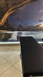 Massage Therapy Ferdz Fenix